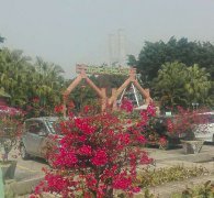 众博(中国)公司员工南海湿地拓展训练(2017.2.18-19)